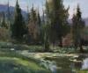 Liz's Pond small.jpg